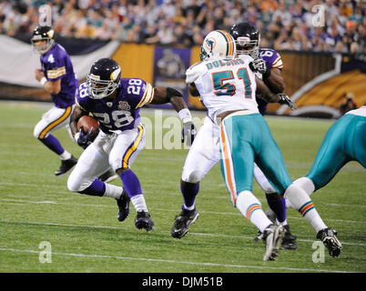 19. September 2010 stürzt - Minneapolis, Minnesota, Vereinigte Staaten von Amerika - Minnesota Vikings Runningback Adrian Peterson #28 im 1. Quartal Aktion gegen die Miami Dolphins.  Die Delphine besiegte die Wikinger 14-10 im Mall of America Field. (Kredit-Bild: © Marilyn Indahl/Southcreek Global/ZUMApress.com) Stockfoto