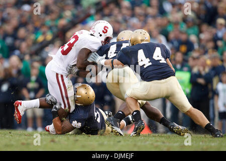 25. September 2010 - South Bend, Indiana, Vereinigte Staaten von Amerika - Notre Dame innen Linebacker Manti Te'o (#5), außen Linebacker Darius Fleming (#45) und innen Linebacker Carlo Calabrese (#44) angehen Stanford Runningback Stepfan Taylor (#33) während der NCAA Football-Spiel zwischen Stanford und Notre Dame.  Stanford Cardinal besiegte die Notre Dame Fighting Irish 37-14 im Spiel an Stockfoto