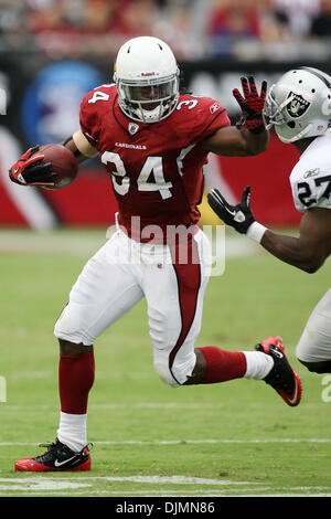 26. September 2010 läuft - Glendale, Arizona, Vereinigte Staaten von Amerika - Arizona Cardinals Runningback Tim Hightower (#34) Feld während eines Spiels gegen die Oakland Raiders im University of Phoenix Stadium in Glendale, Arizona.  Die Cardinals geschlagen die Redskins 24-23. (Kredit-Bild: © gen Lower/Southcreek Global/ZUMApress.com) Stockfoto