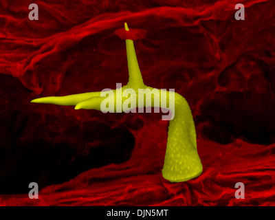 Scanning Electron Schliffbild der Trichome: ein Blatt Haar der Ackerschmalwand, eine einzigartige Struktur, die aus einer einzigen Zelle besteht. Stockfoto