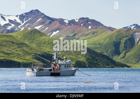 Die F/V Glück Taube auf Anker In False Pass in der Nähe der Laukitis Familie Fishcamp auf der Alaska-Halbinsel Stockfoto