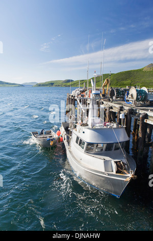 Die F/V Glück Taube gebunden an das Dock In False Pass auf Unimak Island, die Aleuten, Südwest-Alaska, Sommer. Stockfoto