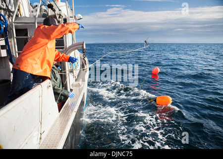 Keith Bell Vorbereitung der Heilbutt Longline Ausrüstung an Bord der F/V Glück Taube in der Nähe von King Cove, Alaska-Halbinsel zu schleppen Stockfoto