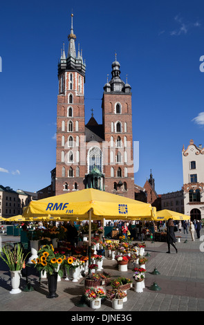 Die Basilika der Jungfrau Maria mit farbigen hell Blumenstände im Rynek Glowny - The Main Market Square, Altstadt, Krakau, Polen Stockfoto