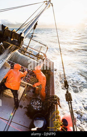 Deckhelfer versucht, Heilbutt Longline Haken mit rosa Lachs Köder an einem stürmischen Tag, in der Nähe von King Cove, Alaska-Halbinsel Stockfoto