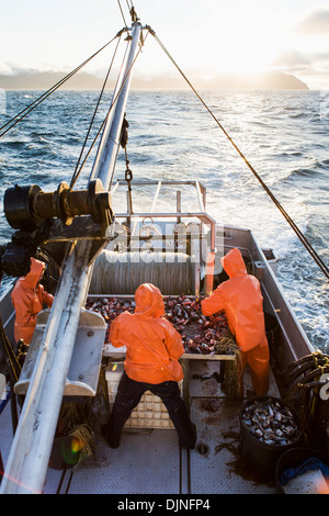 Deckhelfer versucht, Heilbutt Longline Haken mit rosa Lachs Köder an einem stürmischen Tag, in der Nähe von King Cove, Alaska-Halbinsel Stockfoto