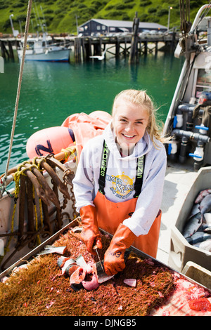 Kommerzieller Heilbutt Longlinen Köder Buckellachs vorbereiten, Sommer King Cove, Alaska-Halbinsel, Südwest-Alaska. Stockfoto