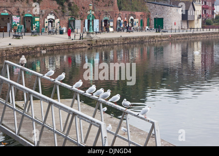 Kai in den historischen Docks in Exeter, Devon, England Stockfoto