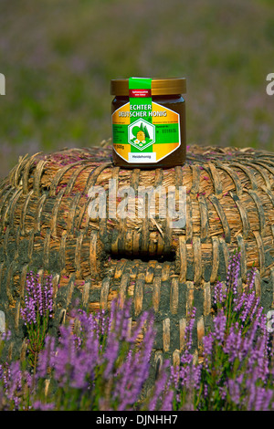 Honig Glas und alten Bienenstock / Skep für Honigbienen am Bienenstand in Lüneburg Heath / Lunenburg Heathland, Niedersachsen, Deutschland Stockfoto