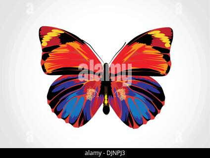 Vektor-Illustration - hell bunten Schmetterling Stock Vektor
