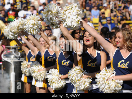 California Golden Bears Cheerleader Welle als die Spieler das Feld zum Jahresbeginn ihr Spiel gegen die UCLA Bruins auf Samstag, 25. Oktober 2008 im Memorial Stadium in Berkeley, Kalifornien nehmen (Jose Carlos Fajardo/Contra Costa Times / ZUMA Press). Stockfoto