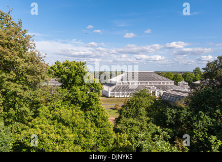 Gemäßigten House in Kew Royal Botanic Gardens, London, England. Blick vom Treetop Walkway. Stockfoto