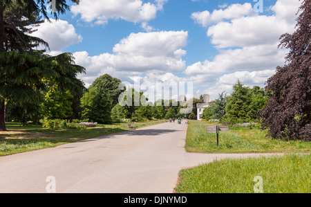 Park-Gasse in Kew Royal Botanical Gardens, London, England Stockfoto