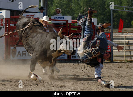 18. Mai 2008 konkurriert - Cloverdale, British Columbia, Kanada - Cowboy Bull Riding Kategorie an jährlichen Cloverdale Professional Rodeo-Veranstaltung. Das Rodeo wurde zuerst in 1945 statt und war so beliebt, dass es von den unteren Fraser Valley Agricultural Association im Jahr 1947 übernommen wurde. Im Jahr 1962 wurde die Messe von Fraser Valley Exhibition Society übernommen, und im Jahr 1994, der Messe und ritt Stockfoto