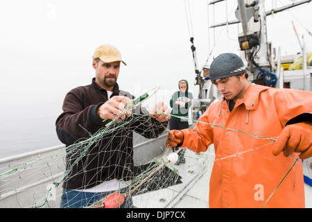 Reparatur eines Risses im A Gillnet beim kommerziellen Sockeye Lachsangeln In den östlichen Aleuten Stockfoto