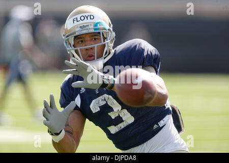 31. März 2010 - South Bend, Indiana, USA - University of Notre Dame Wide Receiver MICHAEL FLOYD erhält eine Reihe von Durchgängen im Training Mittwoch.  Floyd, ein Junior aus St. Paul, Minnesota, wird voraussichtlich die Schuhe von Golden Tate, die beschlossen, in der NFL Draft Kraft zu füllen. (Kredit-Bild: © Jim Z. Rider/ZUMApress.com) Stockfoto