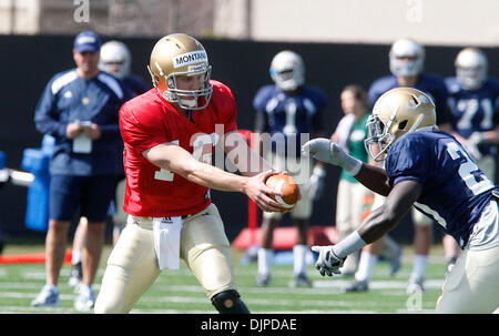 31. März 2010 - South Bend, Indiana, USA - University of Notre Dame Quarterback NATE MONTANA läuft die Straftat im Training Mittwoch.  Montana, ein Junior aus Concord, Kalifornien, ist der Sohn von Notre Dame Quarterback und NFL-Legende Joe Montana.  (Kredit-Bild: © Jim Z. Rider/ZUMApress.com) Stockfoto