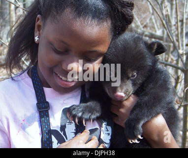 1. März 2010 - Hot Springs, AR, USA - The Arkansas & Edelfische Kommission hält ein wachsames Auge auf seine wachsende Bevölkerung schwarzer Bär. Eine Möglichkeit, dies zu tun ist beruhigen Mutter Bären in ihren Höhlen und überprüfen den Zustand ihrer jungen. Dieses junge. Befragten in den Ouachita Mountains in der Nähe von Hot Springs, Arkansas Anfang März 2010 war ein großer Hit mit Haley Hall von Little Rock, Arkansas, die wa Stockfoto