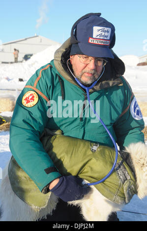 13. März 2010 - Unalakleet, Alaska, USA - Iditarod Freiwilligen Tierarzt Kontrollen Hund Herz (an jedem Checkpoint), Unalakleet, Alaska während Iditarod Sled Dog Race 2010. (Kredit-Bild: © Ron Levy/ZUMA Press) Stockfoto