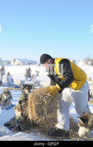 13. März 2010 - Unalakleet, Alaska, USA - Hundebetten bei Unalakleet Checkpoint Bering Meer entlang während 2010 Iditarod Sled Dog Race einrichten. (Kredit-Bild: © Ron Levy/ZUMA Press) Stockfoto