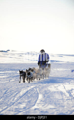 13. März 2010 - Unalakleet, Alaska, USA - Veteran Iditarod Musher JOHN BAKER entlang Beringsee während der 2010 Iditarod Sled Dog Race. (Kredit-Bild: © Ron Levy/ZUMA Press) Stockfoto