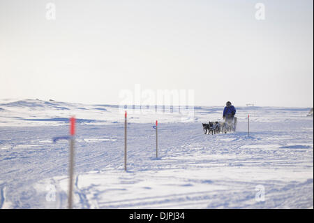 13. März 2010 - Unalakleet, Alaska, USA - Iditarod Musher JOHN BAKER entlang Beringmeer, Alaska während Iditarod Sled Dog Race 2010. (Kredit-Bild: © Ron Levy/ZUMA Press) Stockfoto