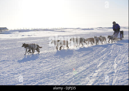 13. März 2010 - Unalakleet, Alaska, USA - Iditarod Musher JOHN BAKER entlang Beringmeer, Alaska während Iditarod Sled Dog Race 2010. (Kredit-Bild: © Ron Levy/ZUMA Press) Stockfoto