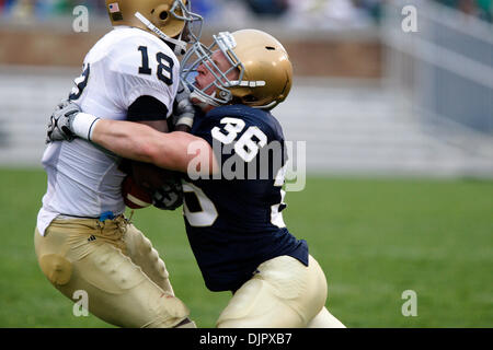 24. April 2010 - South Bend, Indiana, USA - Notre Dame innen Linebacker DAVID POSLUSZNY (36) stoppt Duval Kamara in seine Tracks Samstag während des jährlichen Blau-Gold-Feder-Spiels am Notre Dame Stadium. (Kredit-Bild: © Jim Reiter/ZUMA Press) Stockfoto