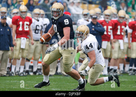 24. April 2010 - South Bend, Indiana, USA - Notre-Dame-Tight-End KYLE RUDOLPH sieht für den Betrieb mit innen Linebacker Carlo Calabrese am Samstag während des jährlichen Blau-Gold-Feder-Spiels am Notre Dame Stadium schließen.   (Kredit-Bild: © Jim Reiter/ZUMA Press) Stockfoto