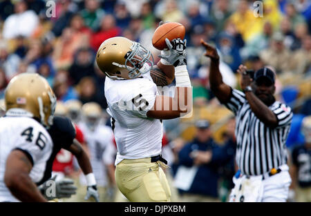 24. April 2010 - South Bend, Indiana, USA - Notre Dame innen Linebacker MANTI TE'O fängt einen Pass für das Gold-Team Samstag während des jährlichen Blau-Gold-Feder-Spiels am Notre Dame Stadium.  (Kredit-Bild: © Jim Reiter/ZUMA Press) Stockfoto