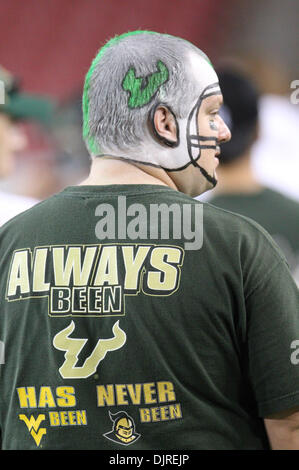 17. April 2010 - Tampa, Florida, USA - 17. April 2010: A USF Fan genießt das Spiel. Team Süd-Florida besiegte Team Bulls 52-31 als USF ihre Frühling Fußballspiel im Raymond James Stadium in Tampa, Florida gespielt (Credit-Bild: © Margaret Bowles/Southcreek Global/ZUMApress.com) Stockfoto