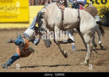 17. April 2010 - Red Bluff, Kalifornien, USA - 17. April 2010: Bareback Reiter Nathan Bayes von Adrian, oder bei der 2010 Red Bluff Round-Up an der Tehama County Fairgrounds in Red Bluff, CA. (Credit-Bild: © Matt Cohen/Southcreek Global/ZUMApress.com) Stockfoto