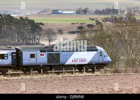 Ostküste LNER morgen Service nach Kings Cross London, von Aberdeen Angus, Montrose Schottland Großbritannien Stockfoto