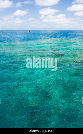 Klaren, türkisblauen Wasser auf das Great Barrier Reef in tropische Nord-Queensland, Australien Stockfoto