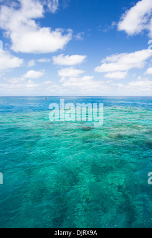 Klaren, türkisblauen Wasser auf das Great Barrier Reef in tropische Nord-Queensland, Australien Stockfoto