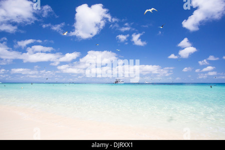 Schönen weißen Sand und kristallklarem Wasser an einem sonnigen Tag am Michaelmas Cay, Great Barrier Reef, Australien Stockfoto