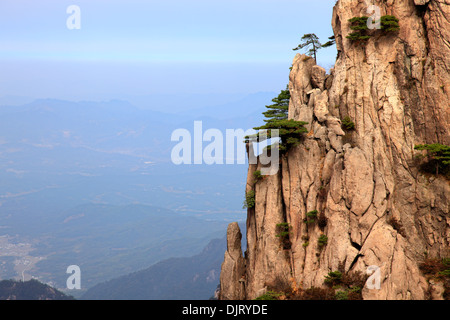 Berg Huangshan, Anhui, China Stockfoto