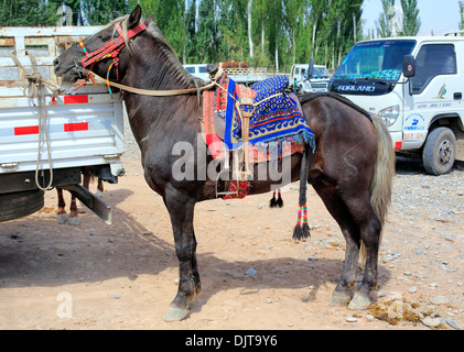 Viehmarkt, Kashgar (Kashi), Kashgar Präfektur, Uigurischen Autonomen Gebiet Xinjiang, China Stockfoto