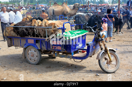 Viehmarkt, Kashgar (Kashi), Kashgar Präfektur, Uigurischen Autonomen Gebiet Xinjiang, China Stockfoto