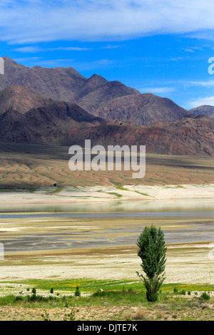 Einsamer Baum am Strand des Stausees Orto-Tokoy, Naryn Oblast, Kirgisistan Stockfoto