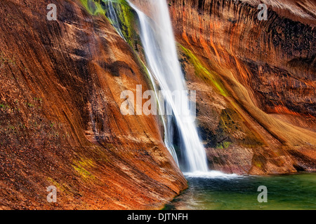 Lower Calf Creek Falls gießt über die brillante farbige Wände des Navajo Sandstein in Utahs Escalante National Mo erarbeitet. Stockfoto