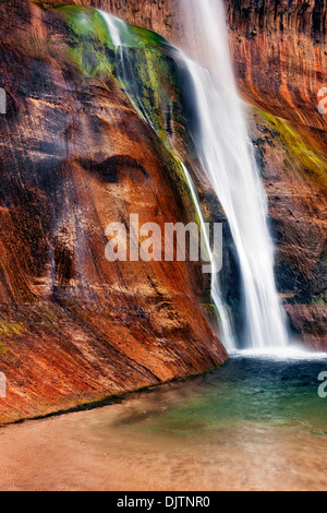 Lower Calf Creek Falls gießt über die brillante farbige Wände aus Navajo-Sandstein in Utahs Escalante National Monument. Stockfoto