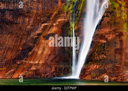 Untere Wade fällt Creek ergießt sich über die brillante farbige Wände aus Navajo-Sandstein in Utahs Escalante National Monument. Stockfoto