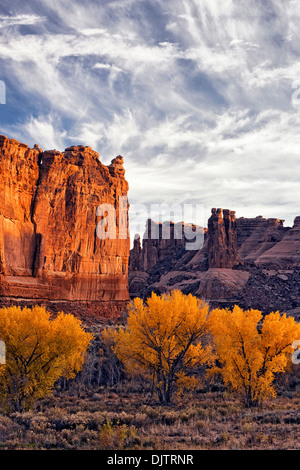 Letzten Herbst gold Pappeln entlang Courthouse Wash im Arches National Park in Utah zu beleuchten. Stockfoto