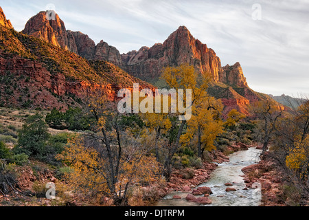 Letzte Licht auf den Wächter mit Herbst Pappeln entlang des Virgin River im Zion National Park in Utah. Stockfoto