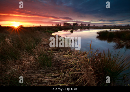 Sonnenaufgang Sonnenstrahlen über Sumpf im Herbst, Onlanden, Drenthe, Niederlande Stockfoto