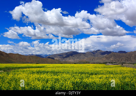 Landschaft bei Gyengong Lhakhang Tempel, Shigatse County, Tibet, China Stockfoto