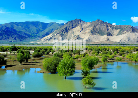 Yarlung Tsangpo (Brahmaputra) Flusstal zwischen Kamba Pass und Tsetang, Lhoka (Shannan) der Präfektur, Tibet, China Stockfoto