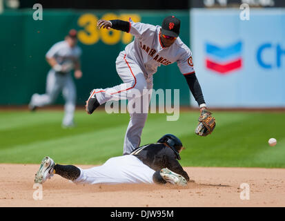 22. Mai 2010: Oakland Athletik Center Fielder Rajai Davis (11) stiehlt zweites Standbein bei der San Francisco Giants Shortstop Edgar Renteria (16) während des Spiels zwischen deckt der Oakland As und die San Francisco Giants in der Oakland-Alameda County Coliseum in Oakland CA. Der A besiegt die Riesen 1-0. (Kredit-Bild: © Damon Tarver/Southcreek Global/ZUMApress.com) Stockfoto