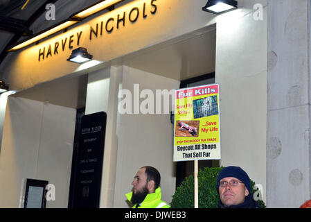 London, UK. 30. November 2013. Eine Gruppe von Anti-Pelz-Aktivisten halten Plakat gegen den Verkauf von Pelz Mäntel außerhalb Harvey Nochols und D & G in Knightsbridge in London. 30. November 2013, Foto von siehe Li / Alamy Live News Stockfoto